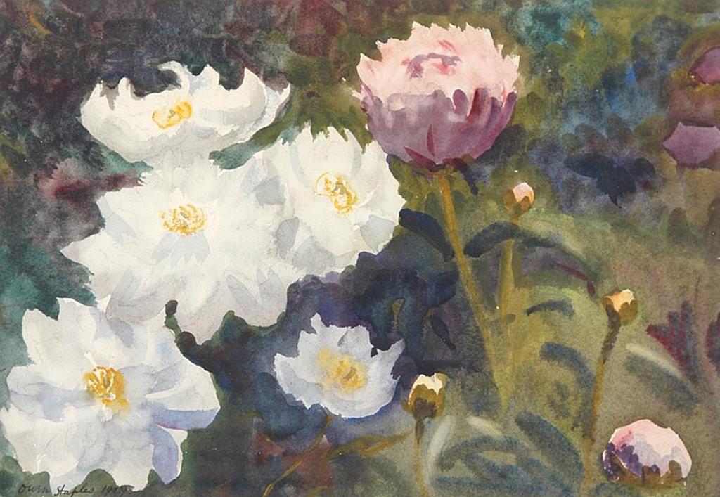 Owen B. Staples (1866-1949) - Untitled - Flowers