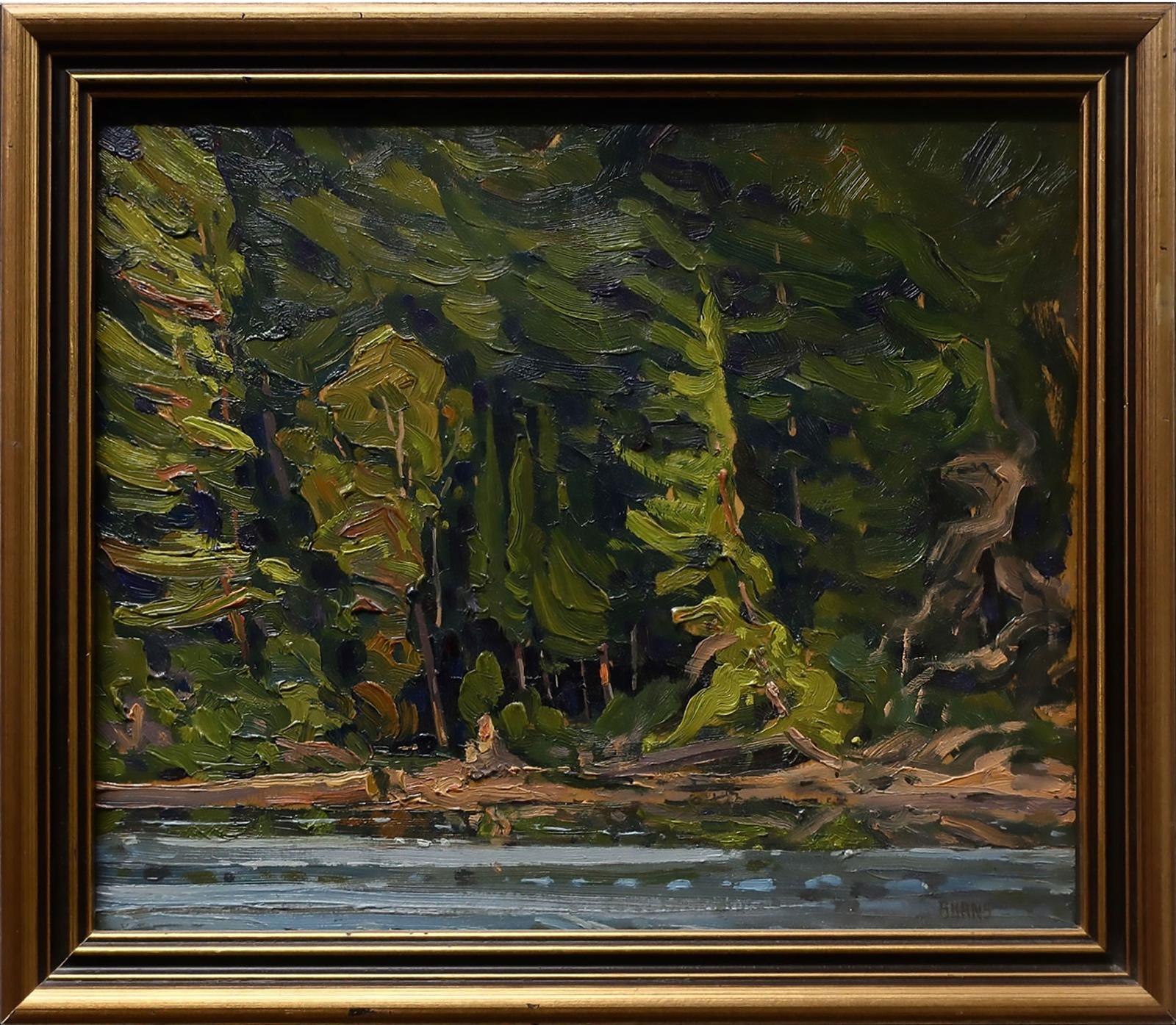 Bill Burns (1960) - Campsight, Big Trout Lake, Algonquin Park