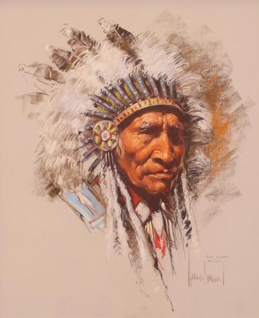 Harley W. Brown (1939) - Bull Plume, Piegan