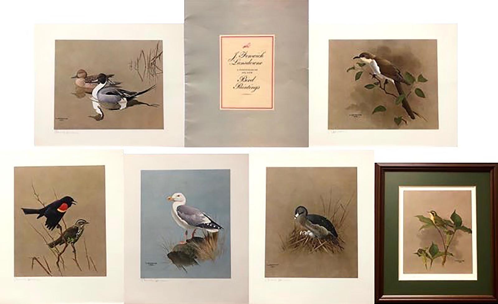 James Fenwick Lansdowne (1937-2008) - Various Bird Studies