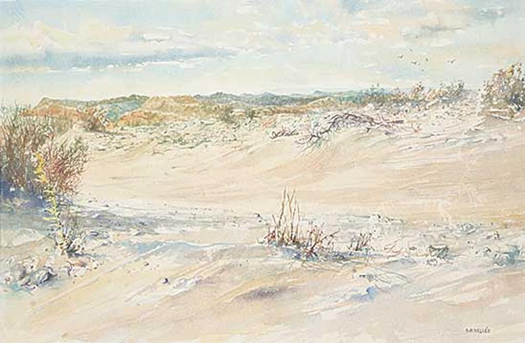 Armand Frederick Vallee (1921-2009) - De Anza Borrego Nat. Park [Desert Scene]