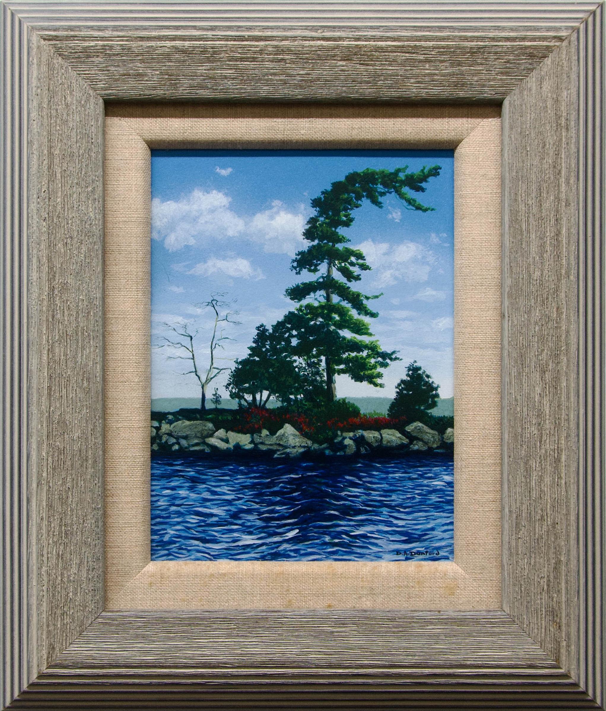 Doug A. Dunford - Untitled (Windswept Pine On Island)