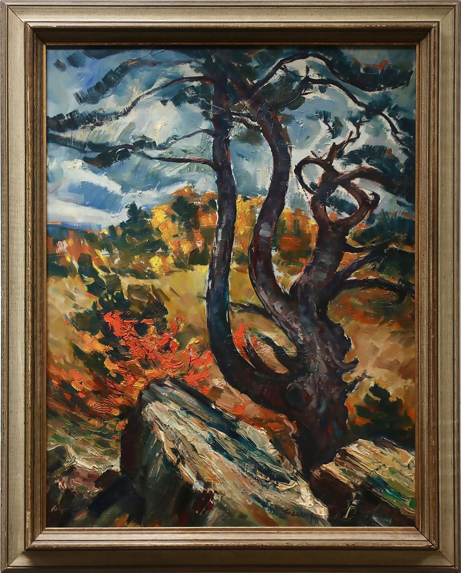 Donald Gordon Fraser (1921-2003) - Old & Gnarled