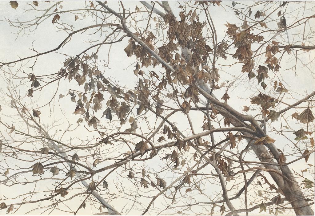 Mary Frances West Pratt (1935-2018) - Maple Tree