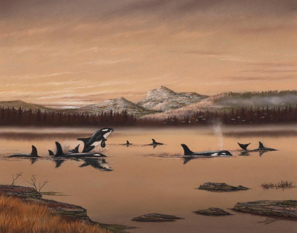 Bob Millard (1947-2014) - Untitled - Orcas