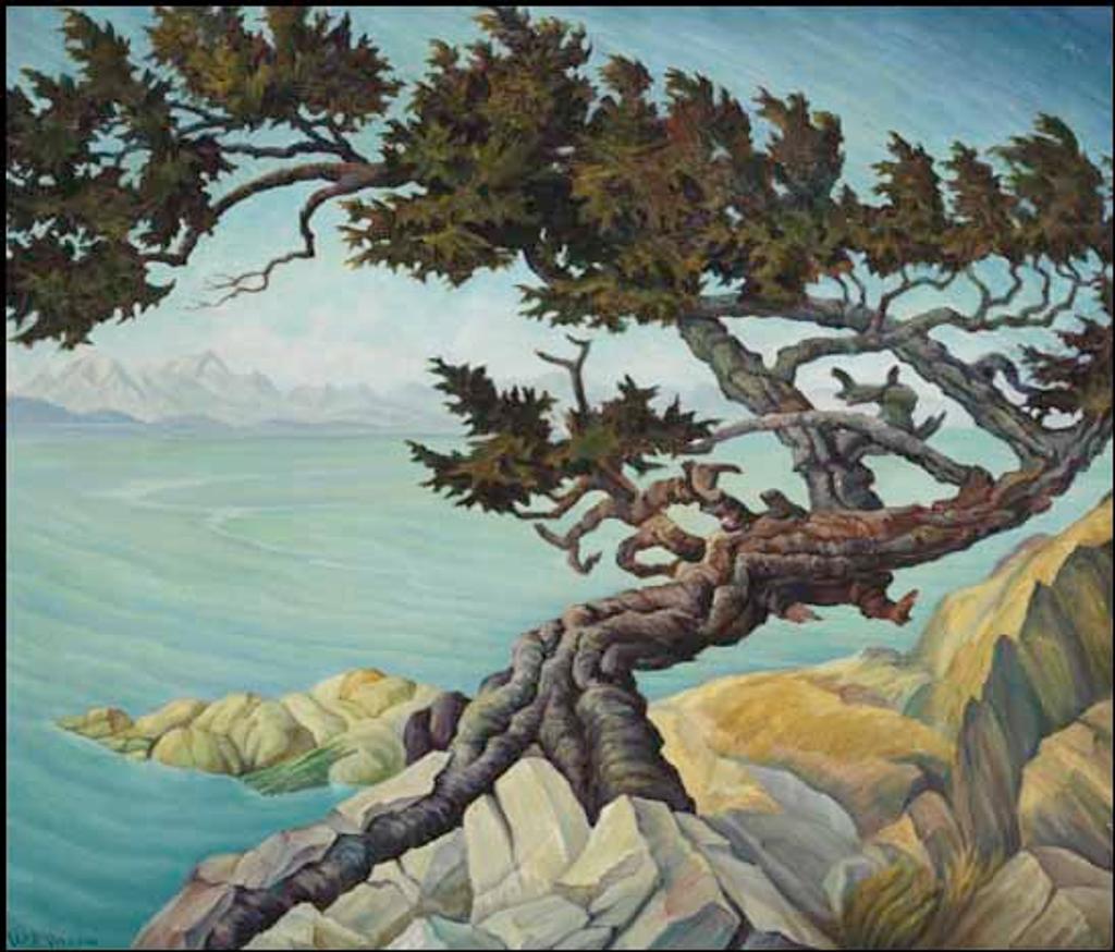 William Percival (W.P.) Weston (1879-1967) - Windswept Fir - Albert Head, Vancouver Island