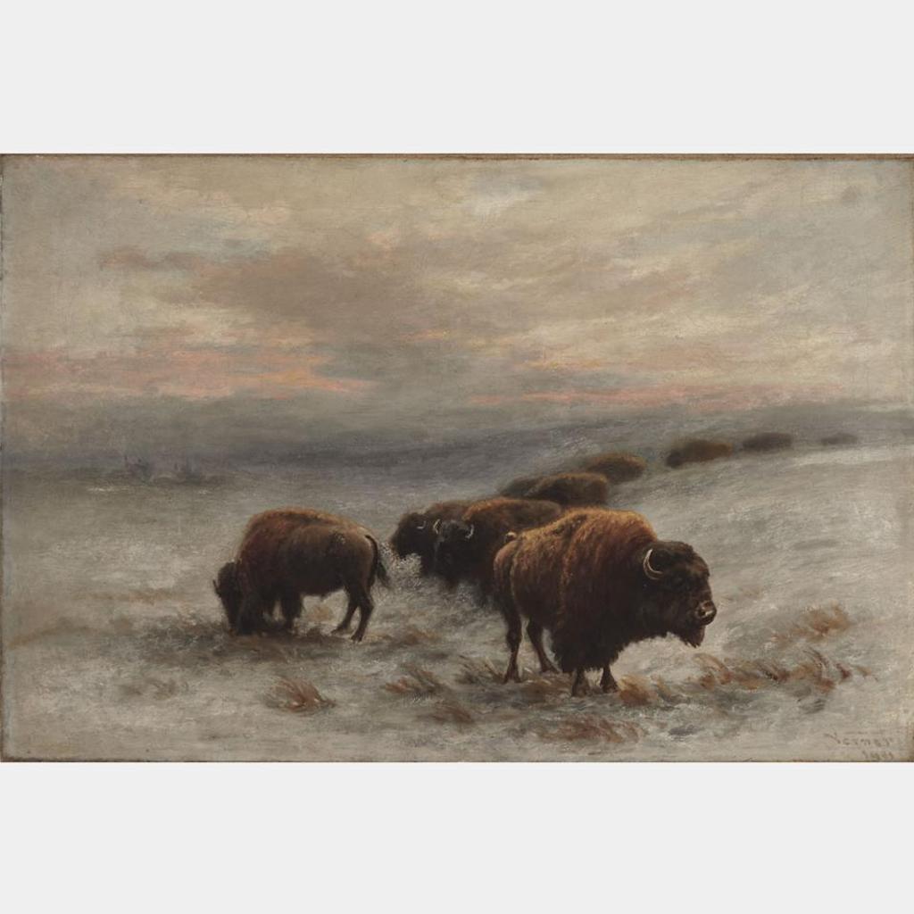 Frederick Arthur Verner (1836-1928) - Bison Foraging In Winter