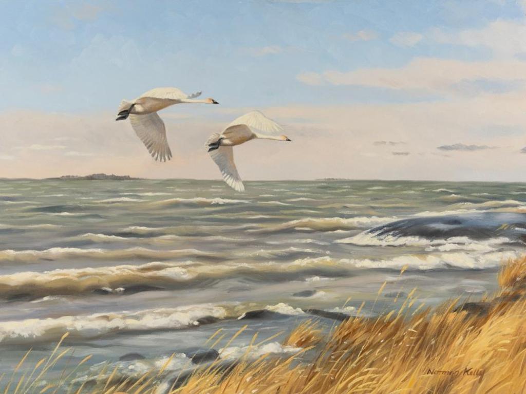 Norman Kelly (1939) - With the Wind - Whistling Swans