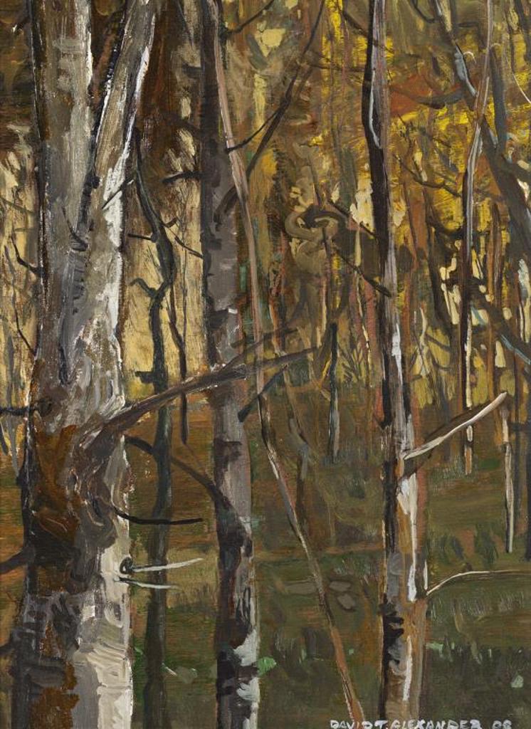 David T. Alexander (1947) - Inside the Copse Loleta