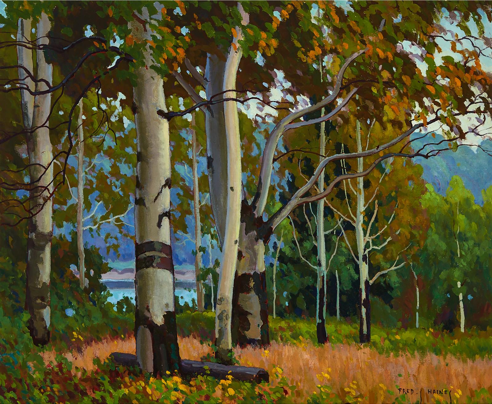 Frederick Stanley Haines (1879-1960) - Birch Trees In Summer Sun