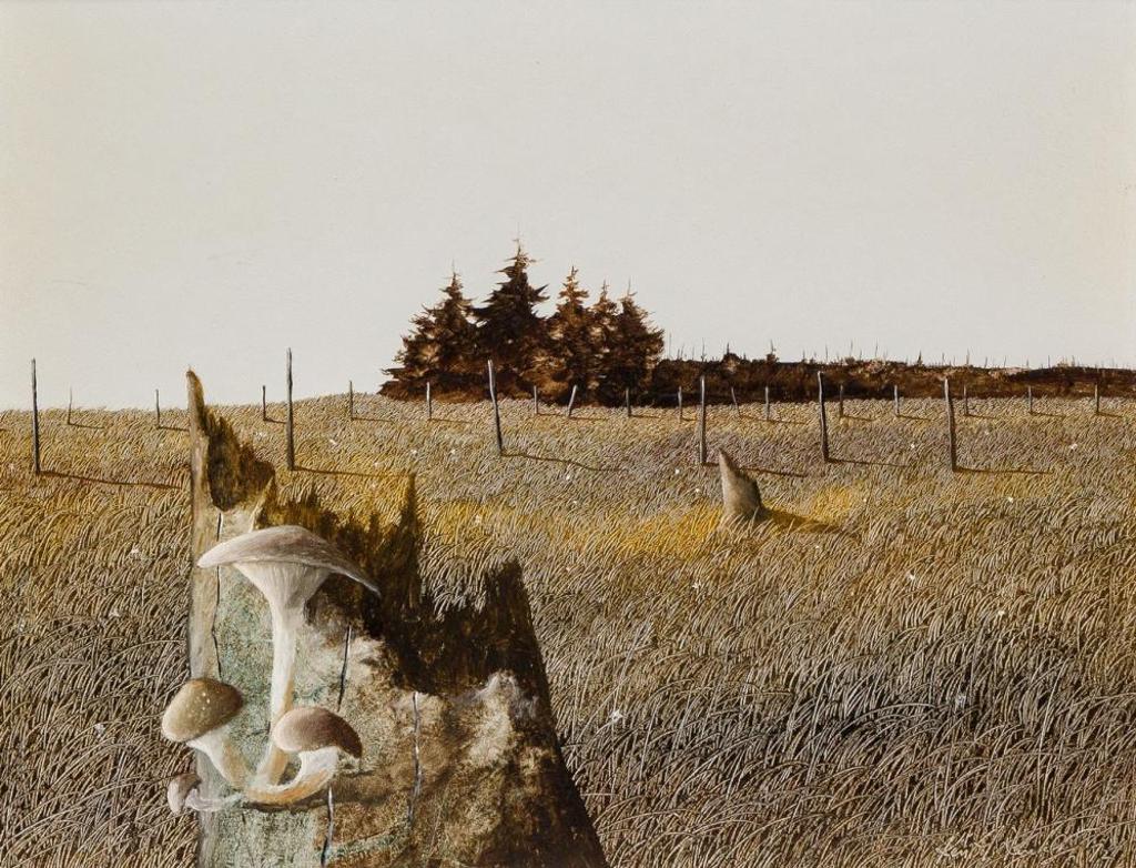 Ken Kirkby (1940-2023) - Toadstools on a Stump