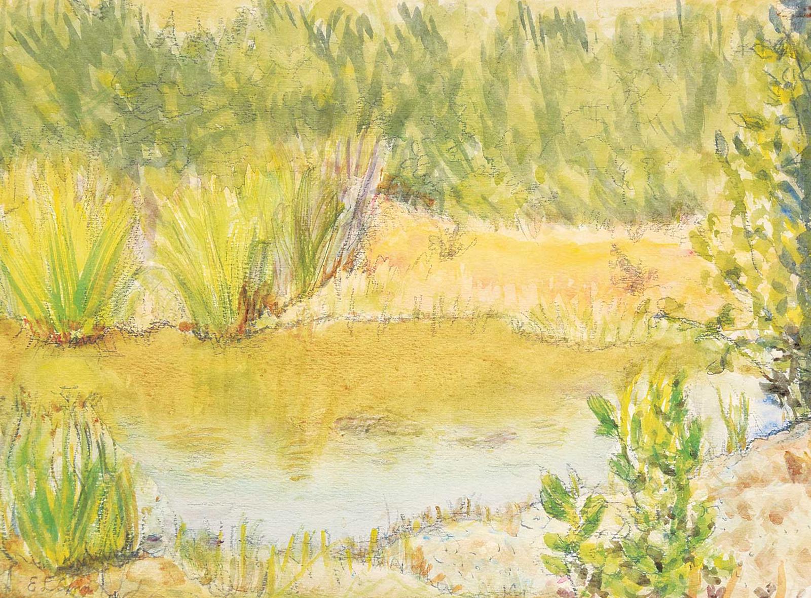 Elizabeth Lovitt Cann - Untitled - The Pond