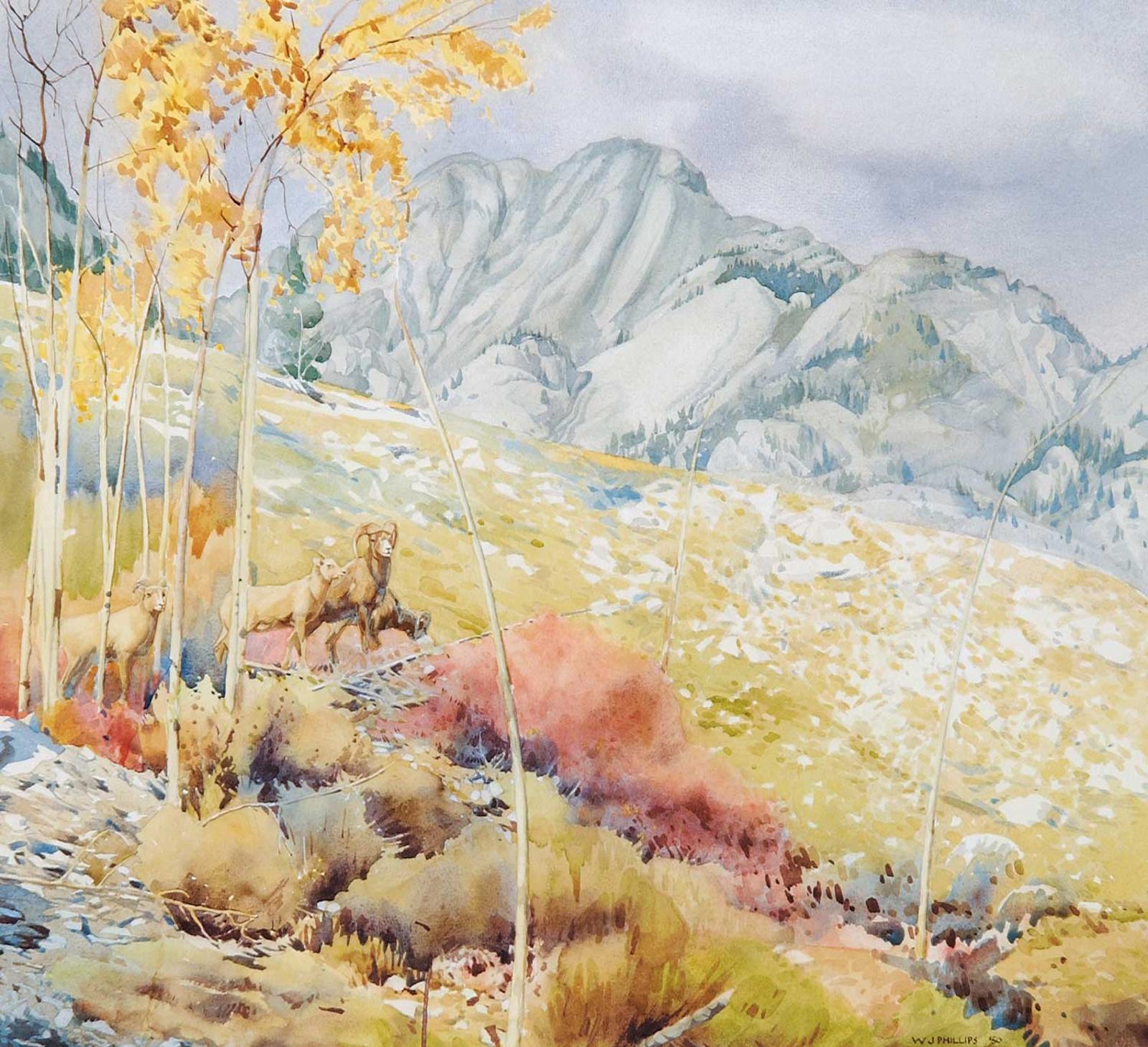 Walter Joseph (W.J.) Phillips (1884-1963) - Mountain Sheep in the Rockies