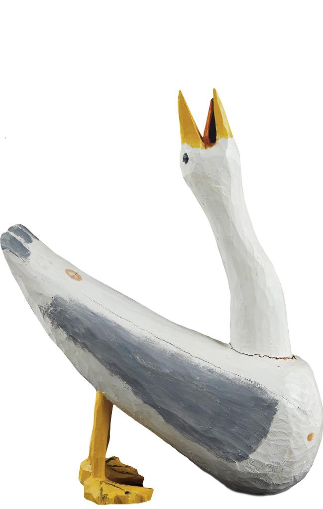 Bradford Naugler (1948) - Seagull Squawking