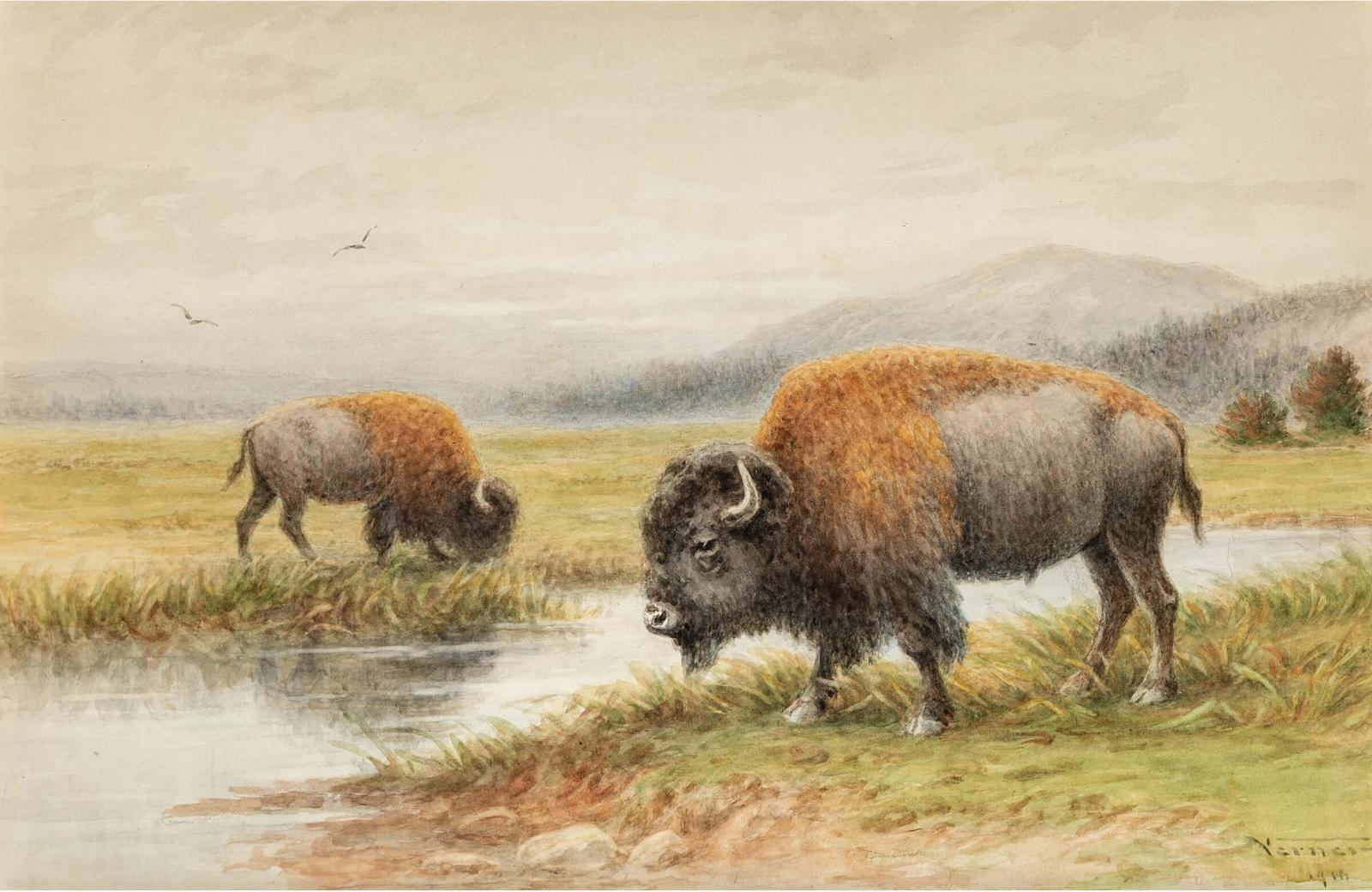 Frederick Arthur Verner (1836-1928) - Buffalo By The River