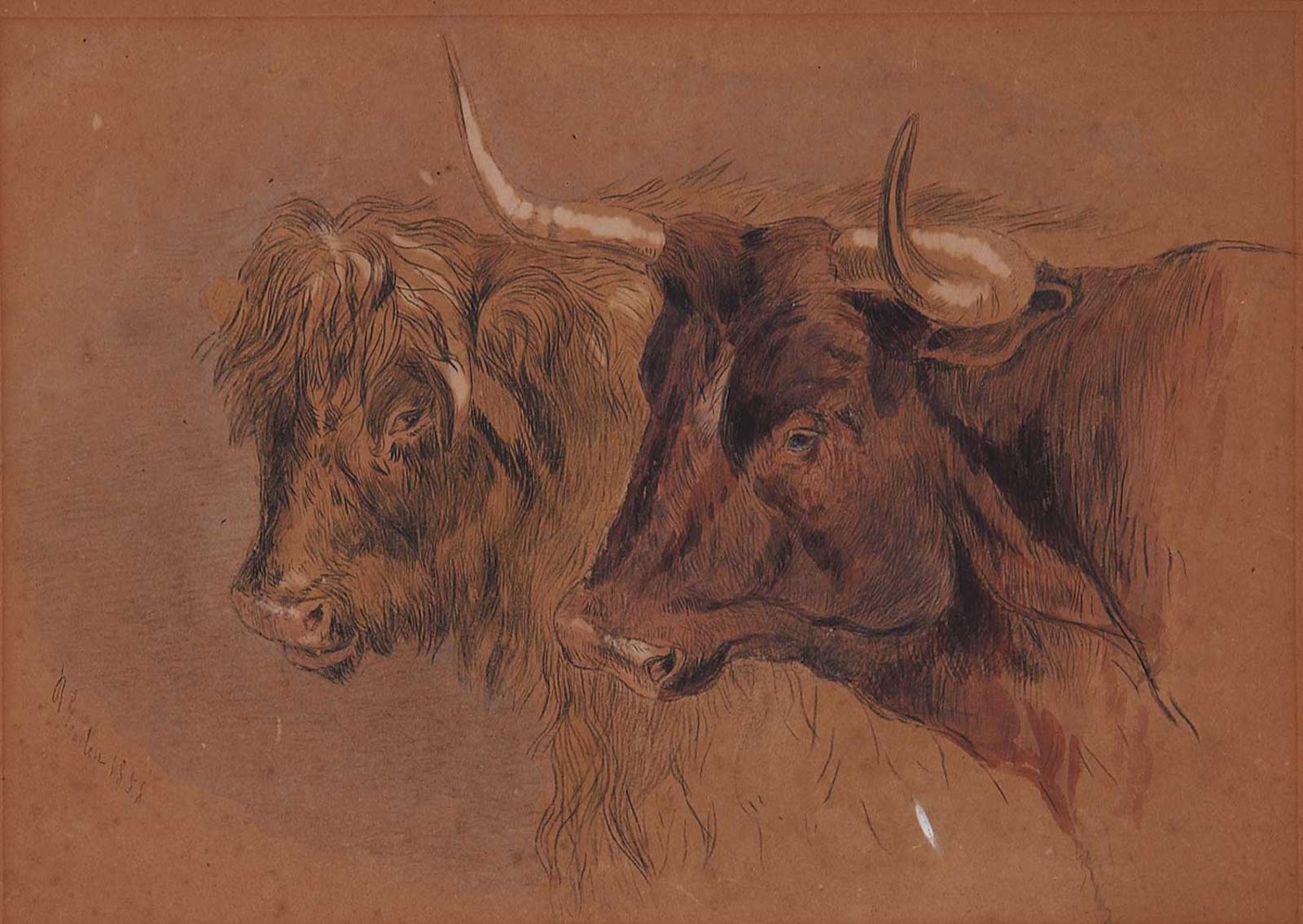 B. Gordon - Untitled - Cows