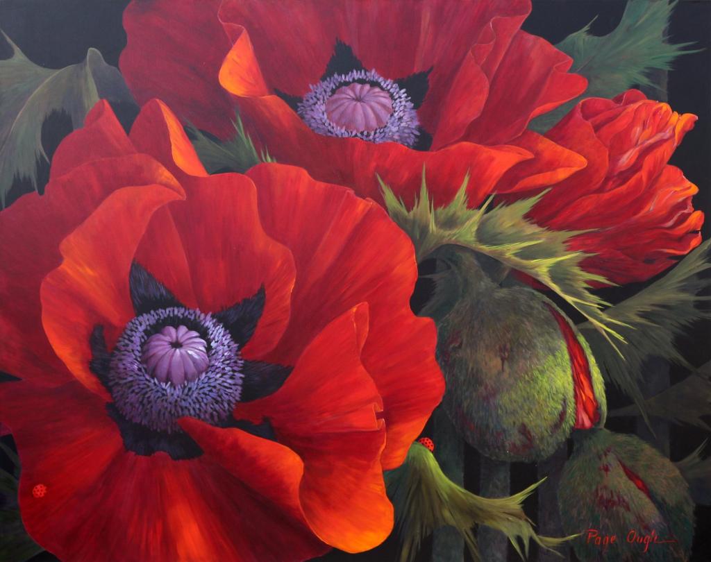 Page Ough (1946) - Morning Light, Poppies; 2008