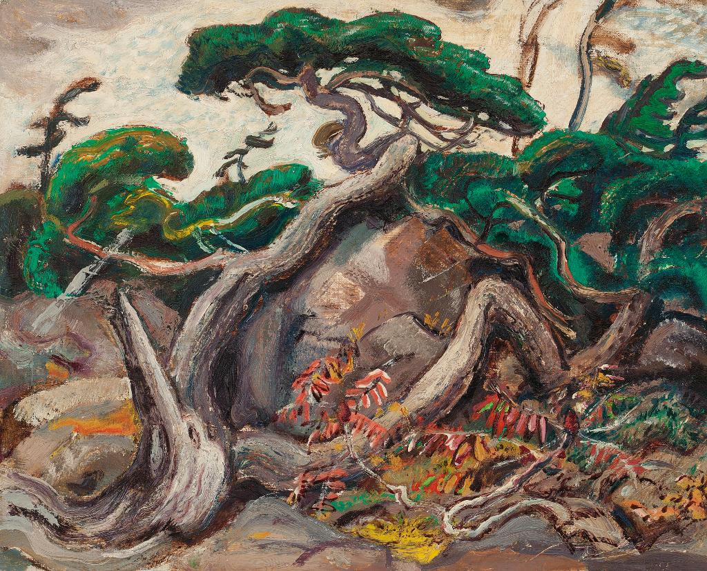 Arthur Lismer (1885-1969) - Twisted Pine, Georgian Bay