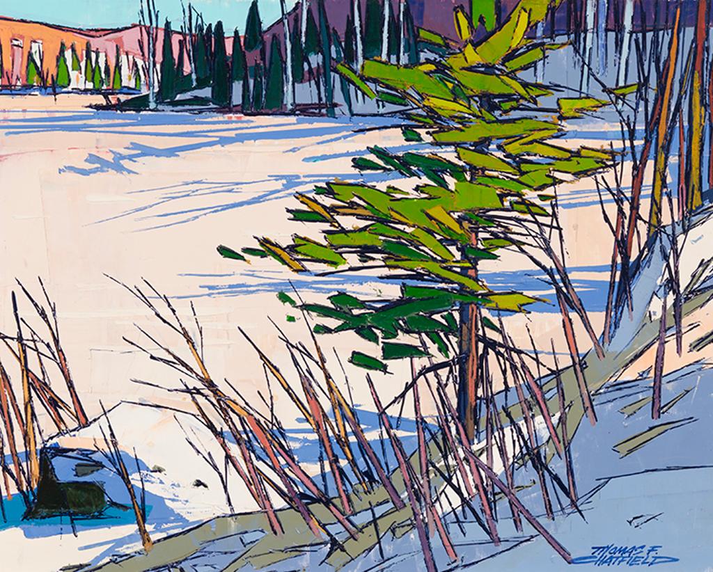 Thomas Frederick Haig Chatfield (1921-1999) - The Frozen Lake
