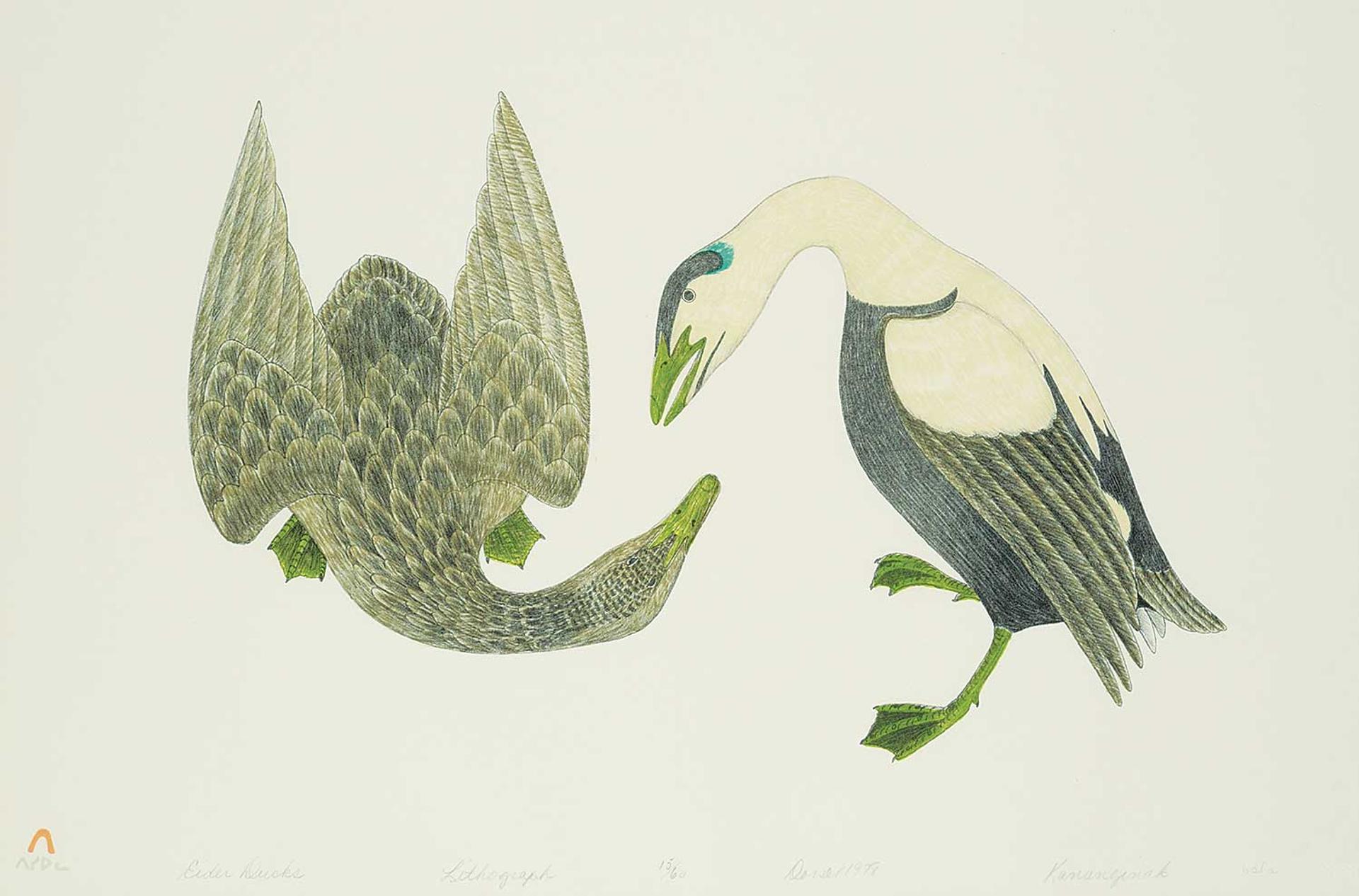 Kananginak Pootoogook (1935-2010) - Eider Ducks  #15/60