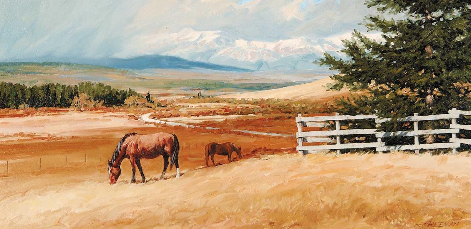 Richard (Dick) Audley Freeman (1932-1991) - Ranching Country