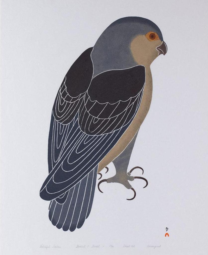 Kananginak Pootoogook (1935-2010) - Watchful Falcon