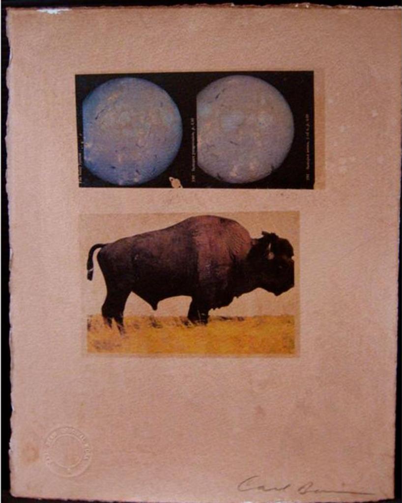 Carl Beam (1943-2005) - Sunspot Progression/Sunspot Series; Bison