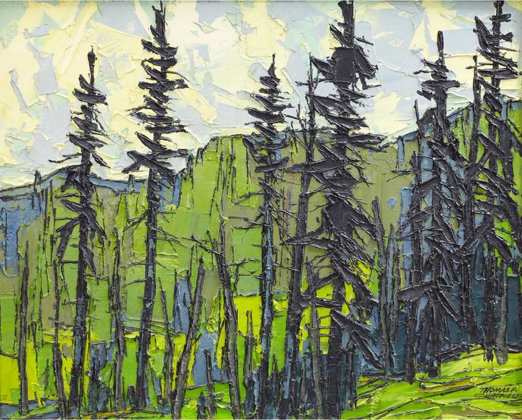 Thomas Frederick Haig Chatfield (1921-1999) - Black Spruce