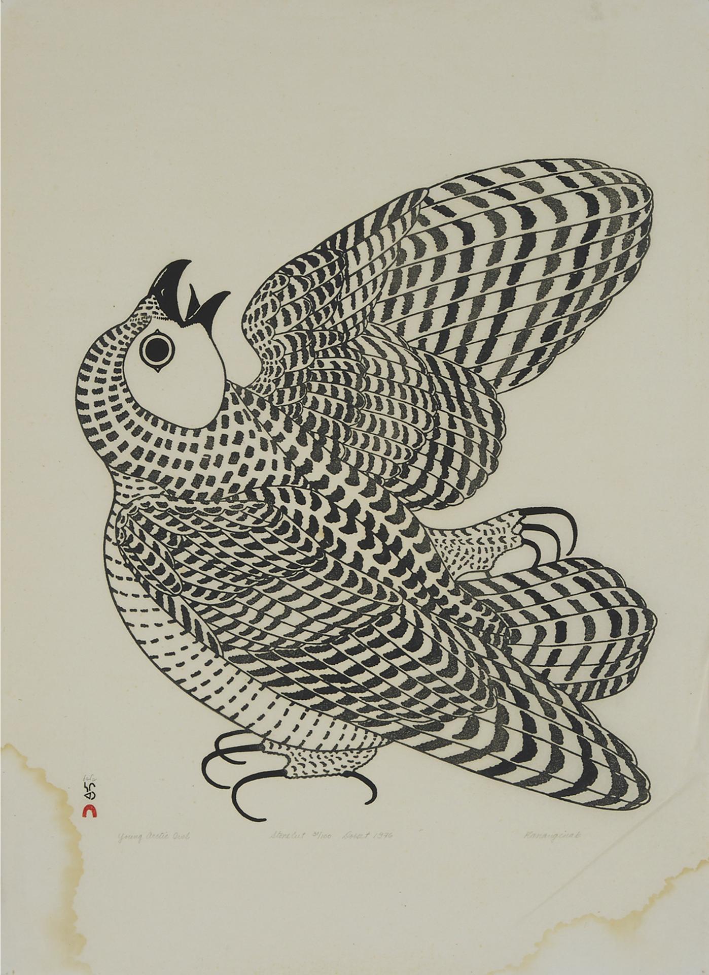Kananginak Pootoogook (1935-2010) - Young Arctic Owl