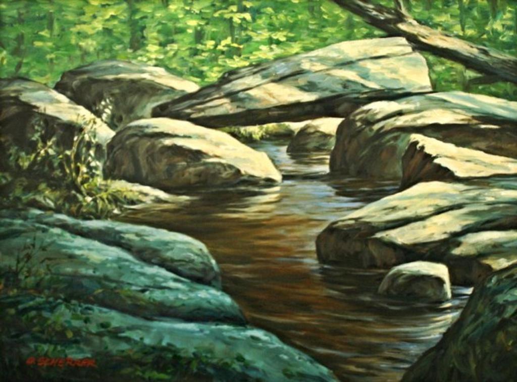 Gunter Scherrer - Rocky Forest Stream