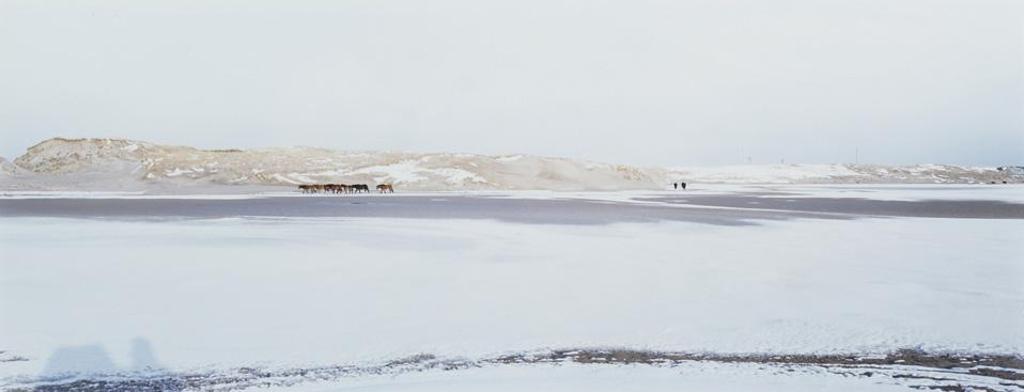 Thaddeus Holownia (1949) - Sable Island, 1985-1993, #7