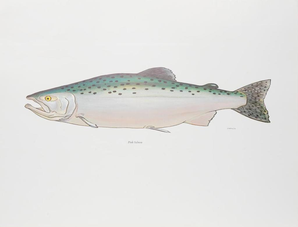 David Denbigh (1906-1978) - Pink Salmon