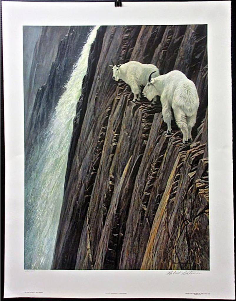 Robert Mclellan Bateman (1930-1922) - Sheer Drop - Mountain Goats