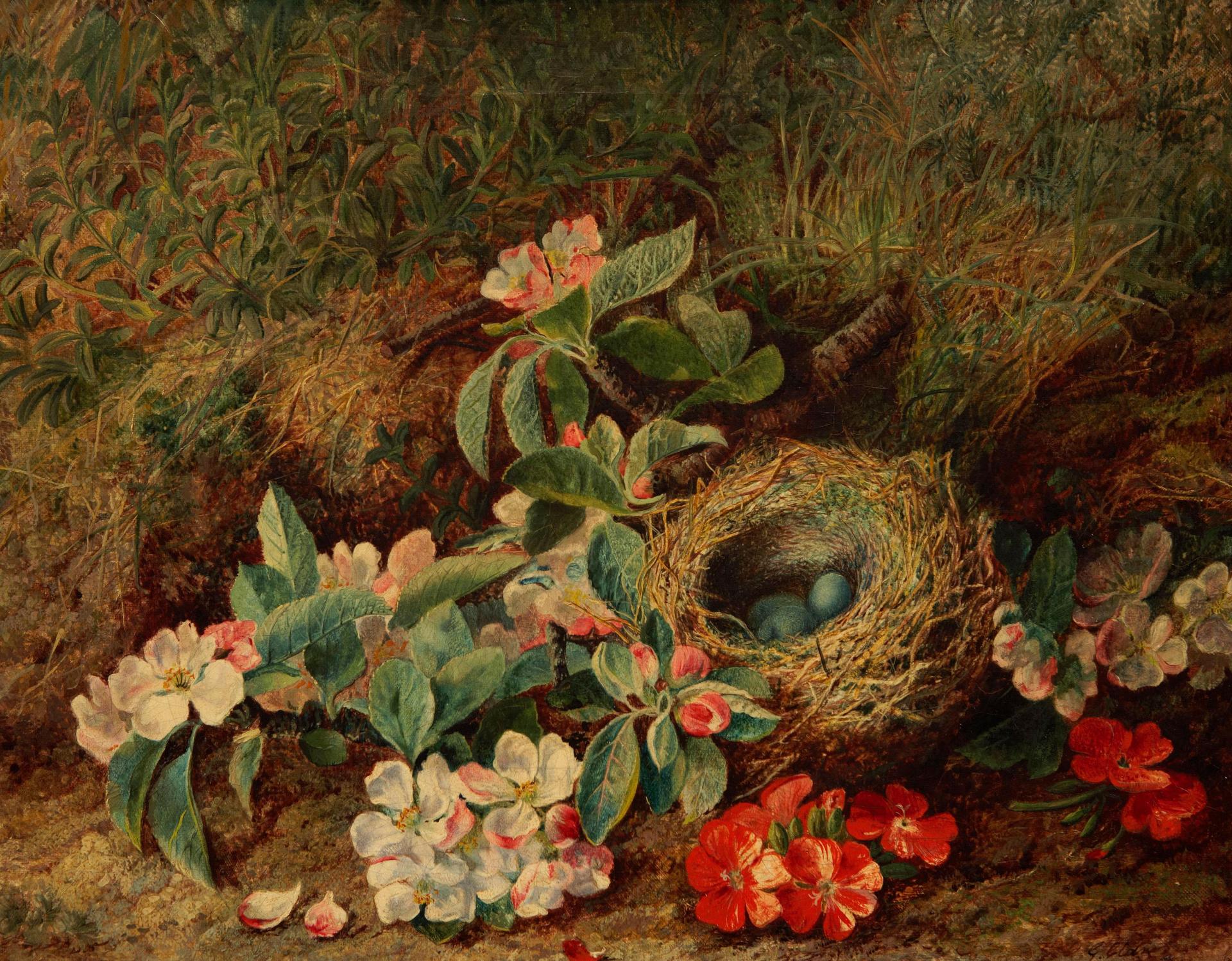 George Clare (1835-1890) - Flowers with Bird Nest