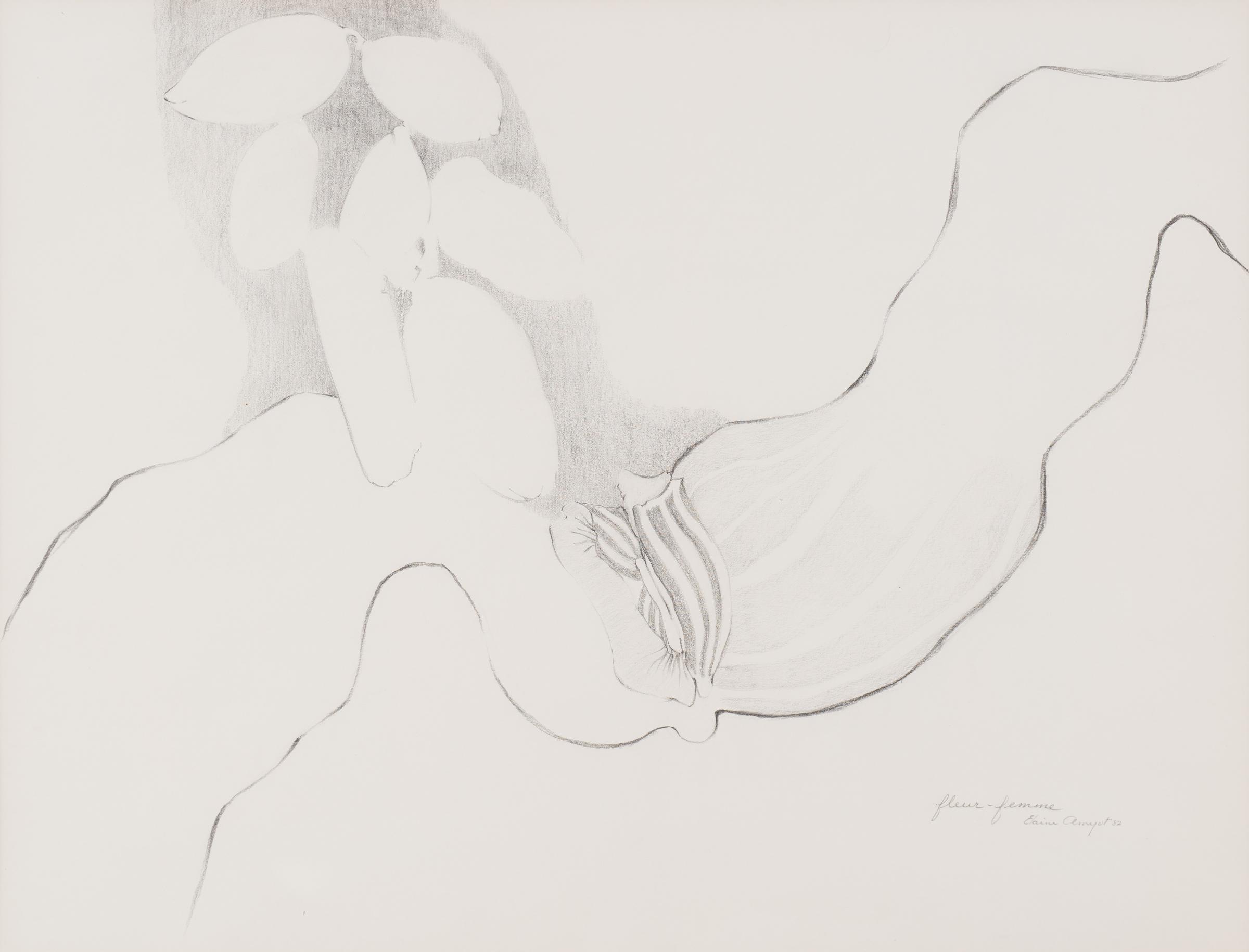 Elaine Amyot (1932) - Untitled