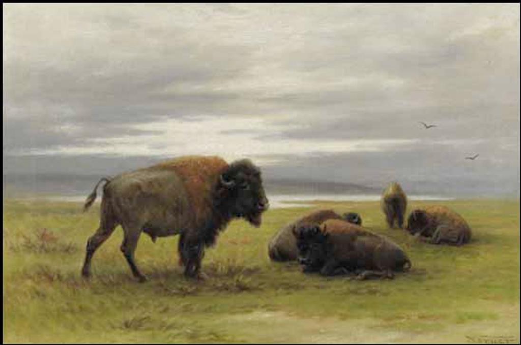 Frederick Arthur Verner (1836-1928) - Buffalo on the Prairies