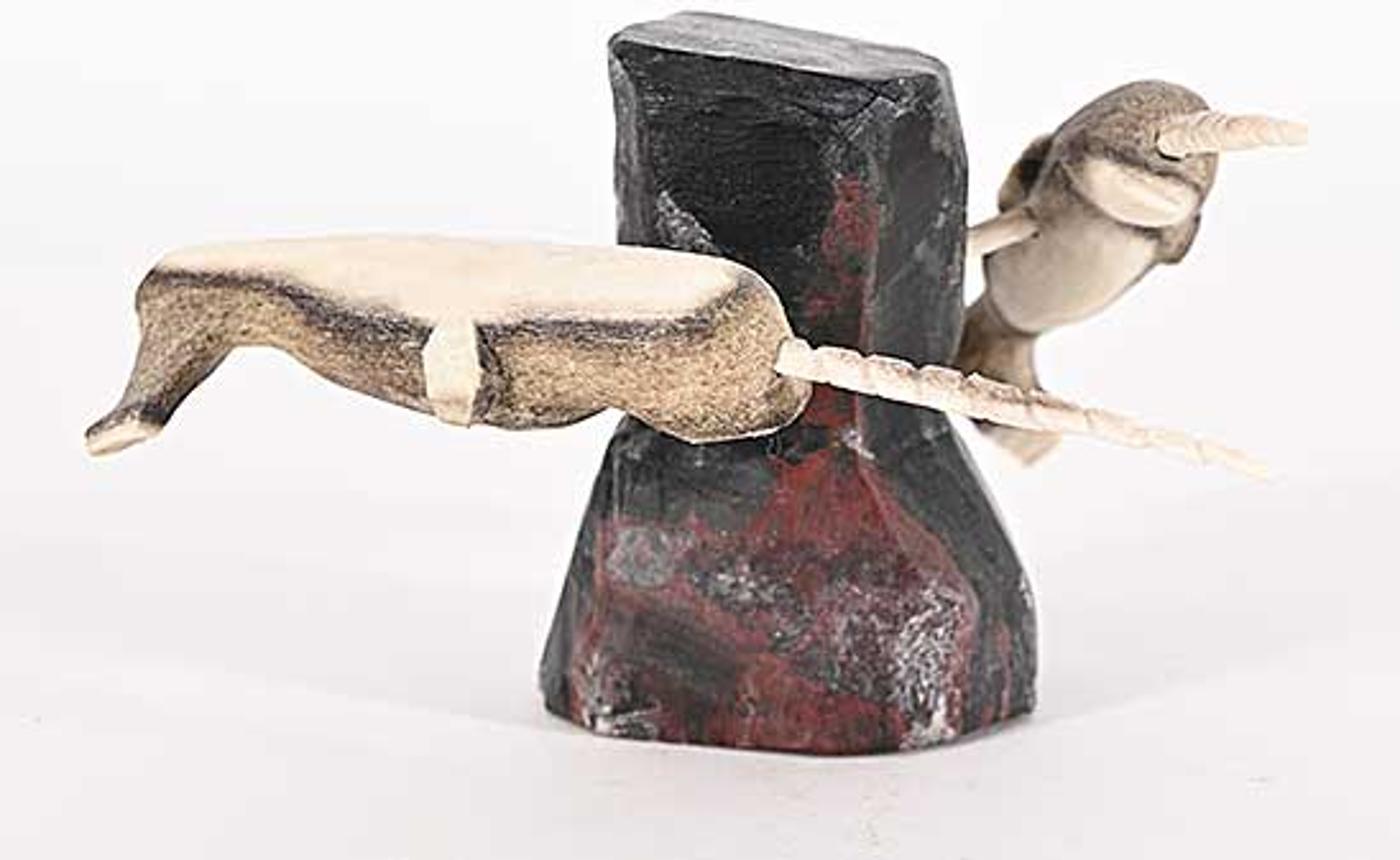 Leo Kaudlin - Untitled - Bone Narwhales