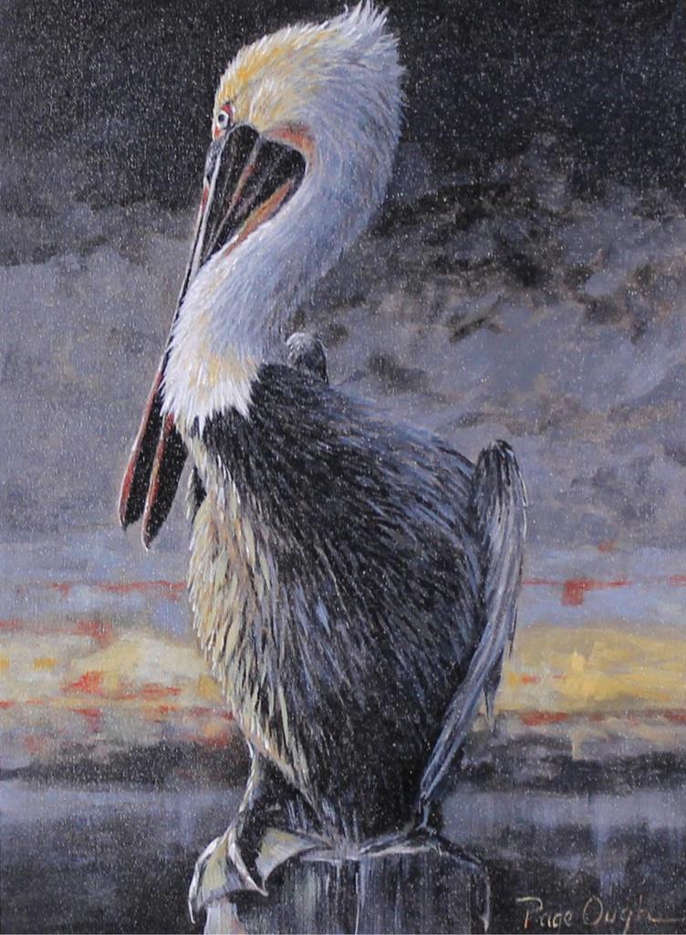 Page Ough (1946) - Brown Pelican; 2008