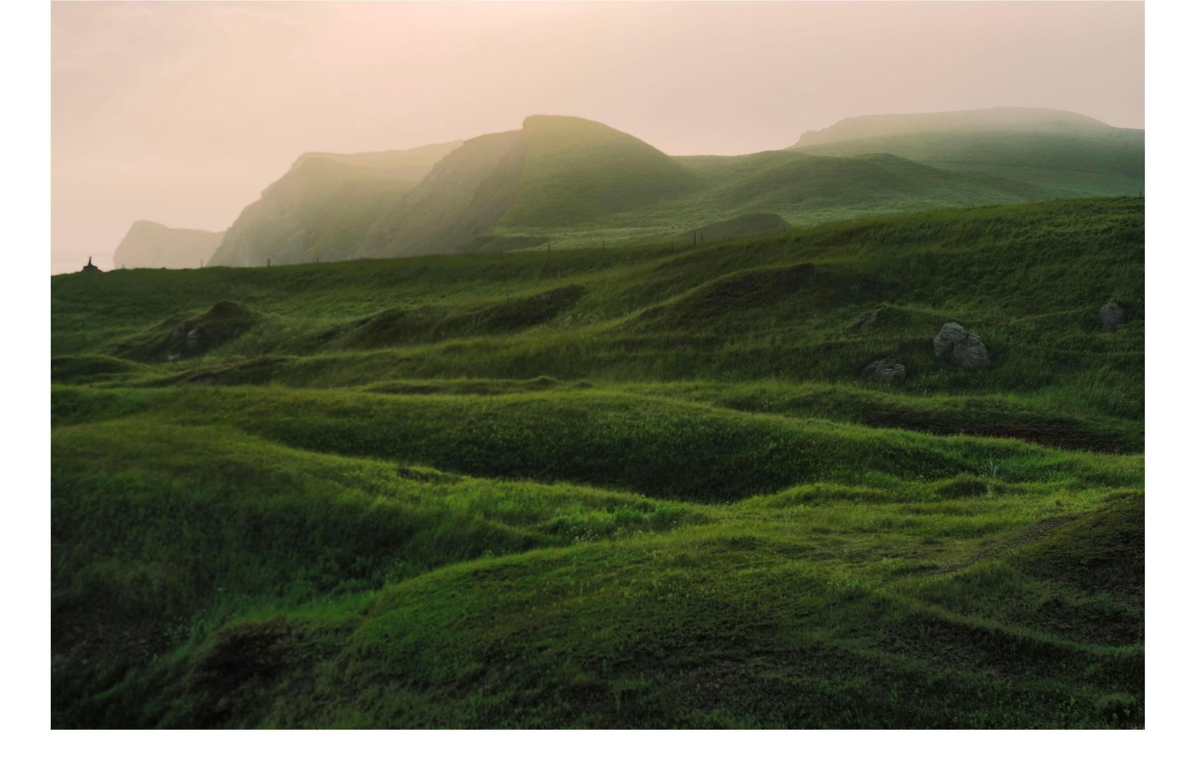 Antonin Monmart - Vert tendre et caresses de brume, 2024