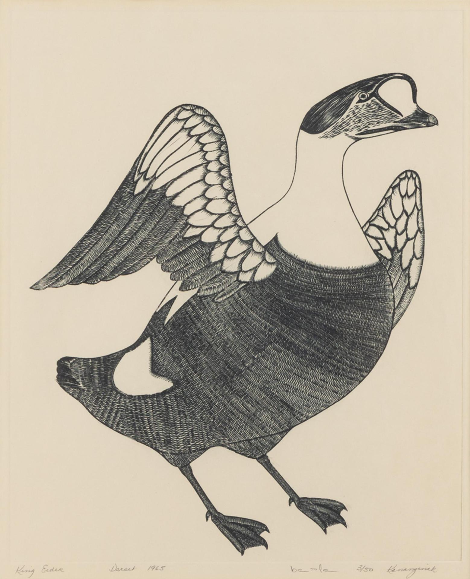 Kananginak Pootoogook (1935-2010) - King Eider, 1965