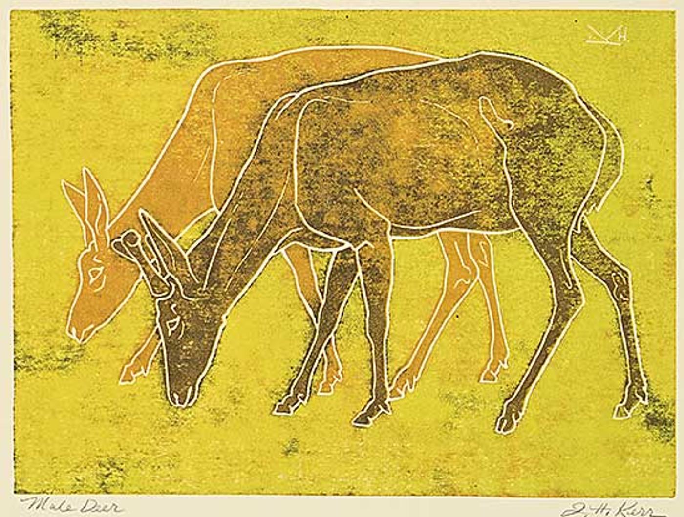 Illingworth Holey (Buck) Kerr (1905-1989) - Mule Deer