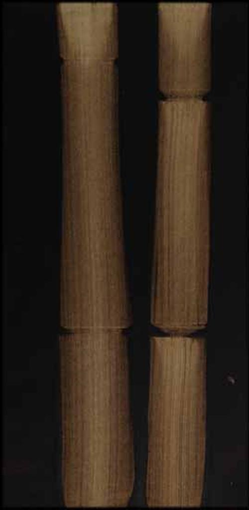 Attila Richard Lukacs (1962) - Big Jim (Bamboo Painting)