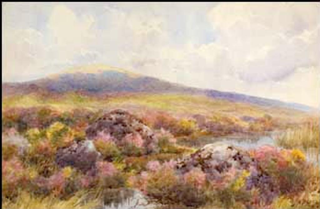 Charles MacDonald Manly (1855-1924) - Pool in the Moor