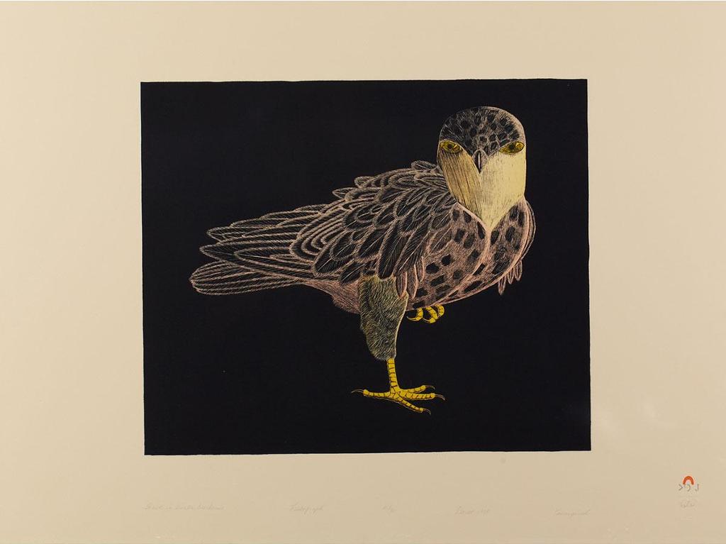 Kananginak Pootoogook (1935-2010) - Hawk In Winter Darkness