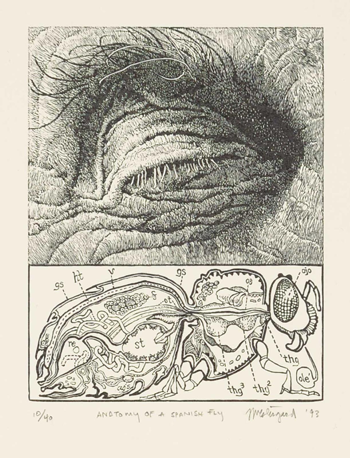 Jim Westergard - Anatomy of a Spanish Fly  #10/40