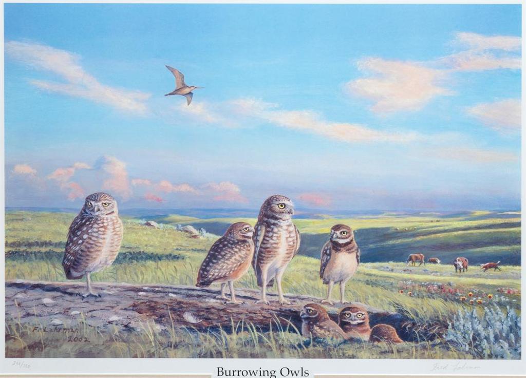Fred Lahrman (1921-2003) - Burrowing Owls, Prairie Species at Risk