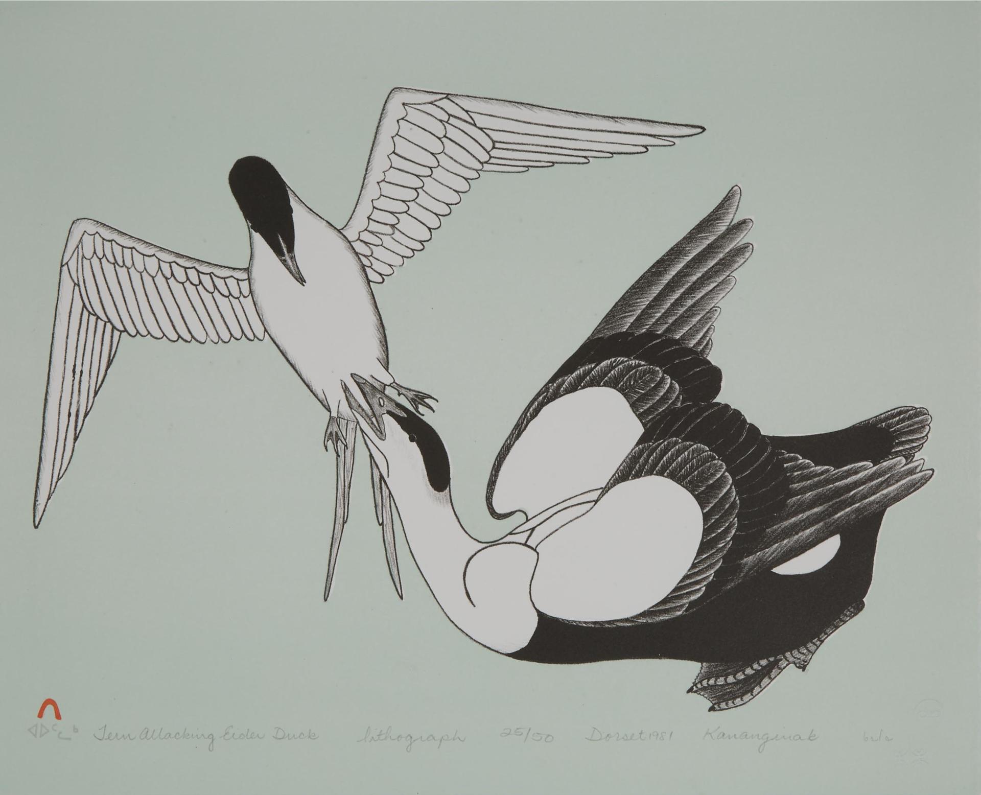 Kananginak Pootoogook (1935-2010) - Tern Attacking Eider Duck