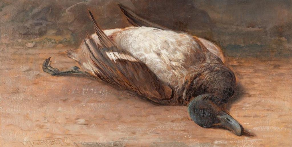 Thomas Mower Martin (1838-1934) - Duck