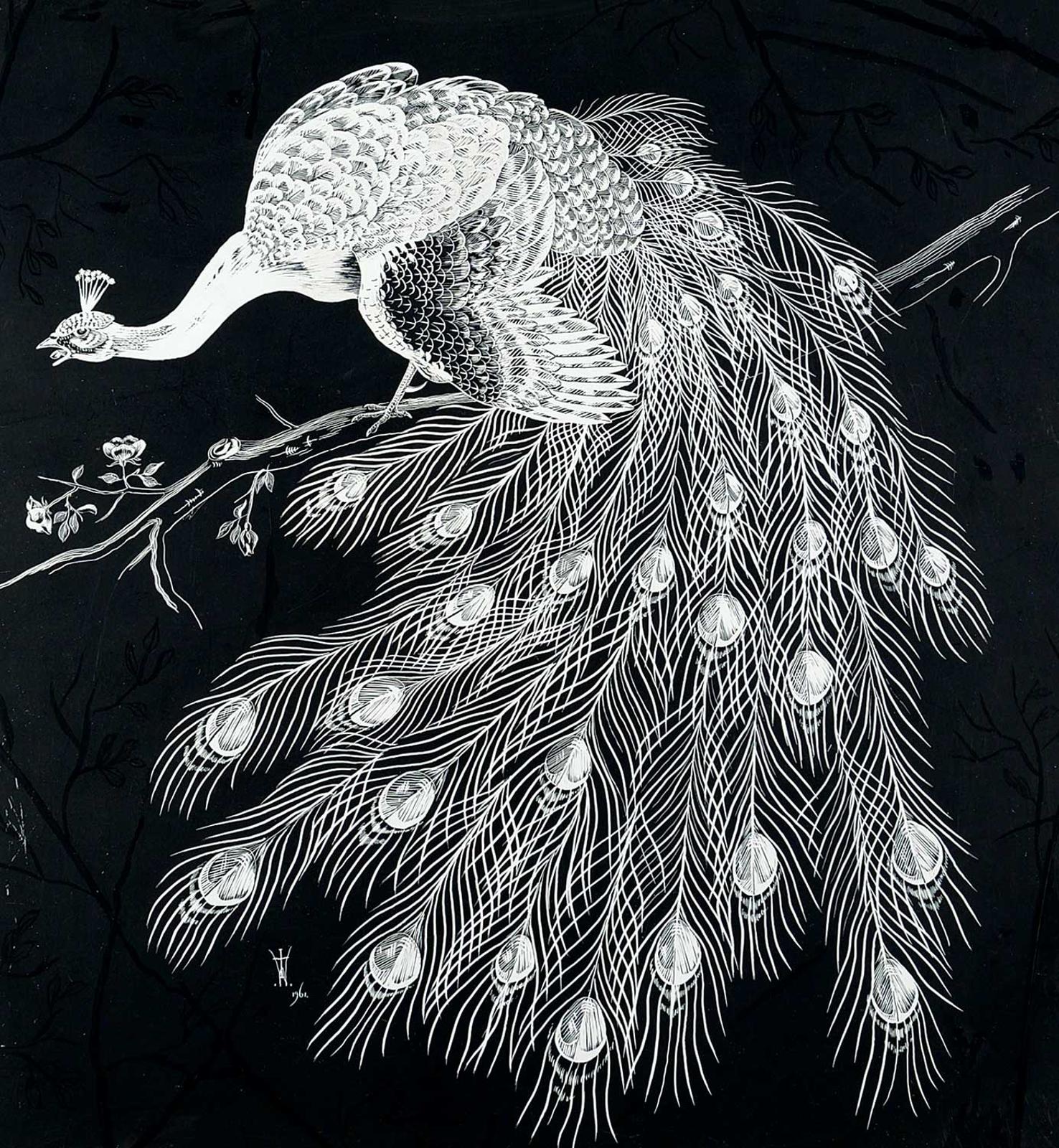 Tristan Walcot - Untitled - Peacock