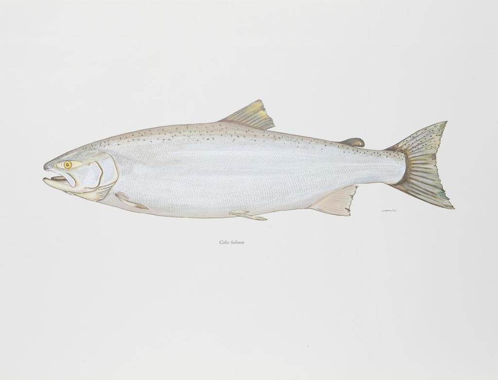 David Denbigh (1906-1978) - Coho Salmon